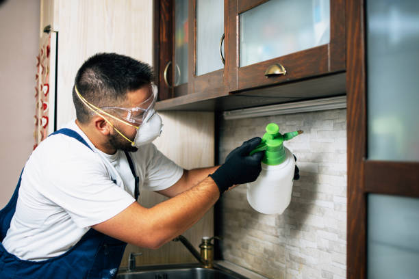 Best Flea Control Services  in Elroy, WI