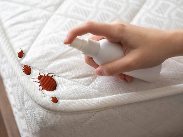 Best Best Pest Control Companies  in Elroy, WI