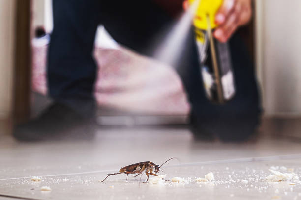 Best Insect Control  in Elroy, WI
