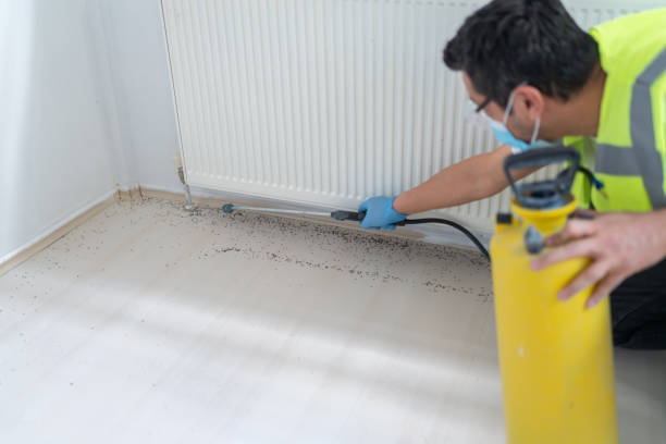 Best Flea Control Services  in Elroy, WI